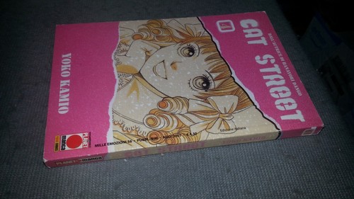 Cat street yoko kamio - 4,