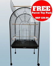 Pappagalli Forniture