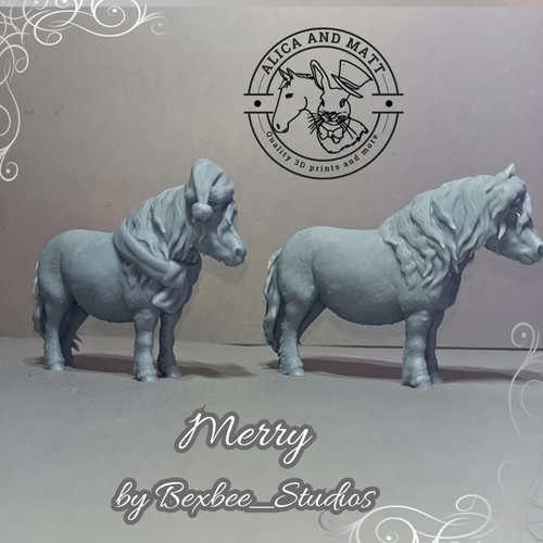 Shetland pony merry 2 - merry,