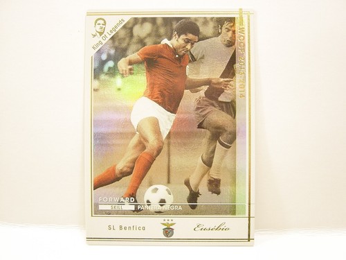 Panini wccf 2013 - panini,