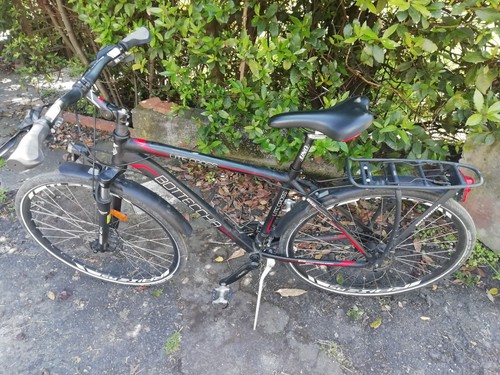 Bici trekking bottecchia - da,