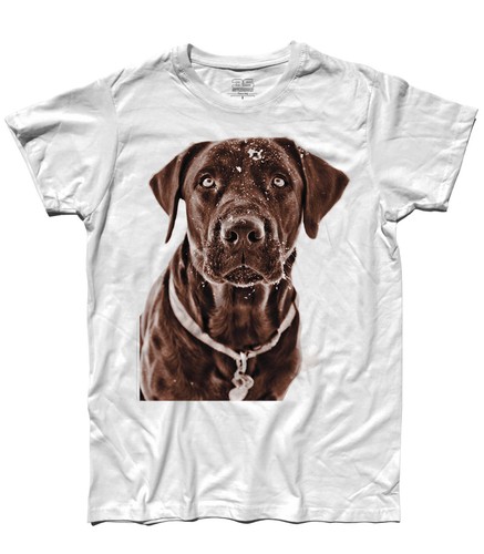 Shirt uomo labrador - t-shirt,