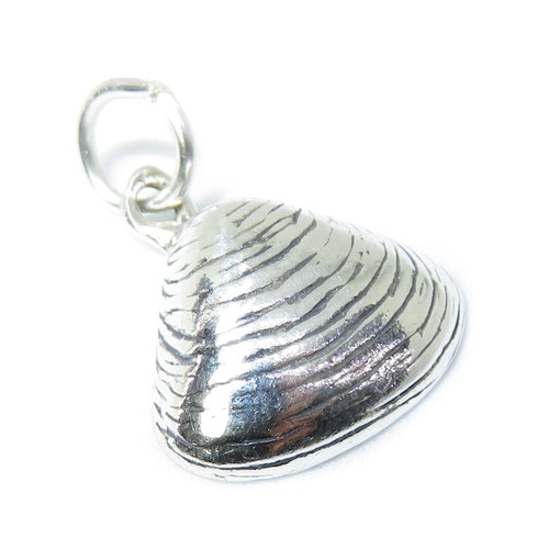 Charm argento sterling - argento,