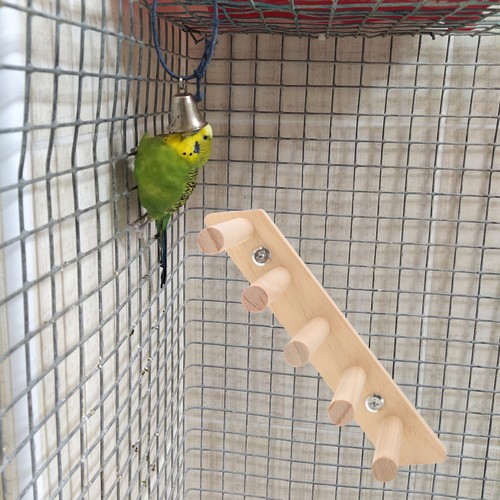 Trespolo per uccelli - per,