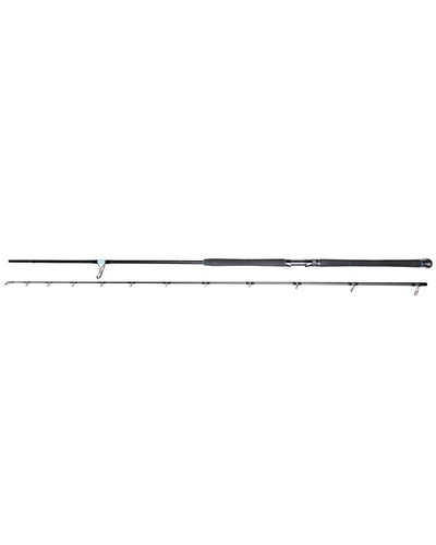 Canna pesca shore - da,