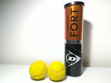 2 Palline da Tennis Dunlop Fort per terra Battuta sport tubo tennista italia ita