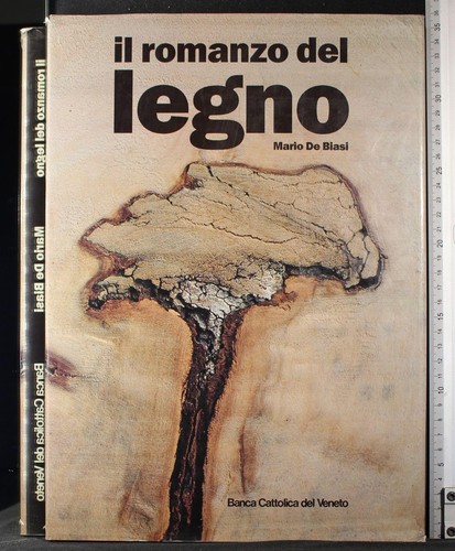 Romanzo del legno - il,