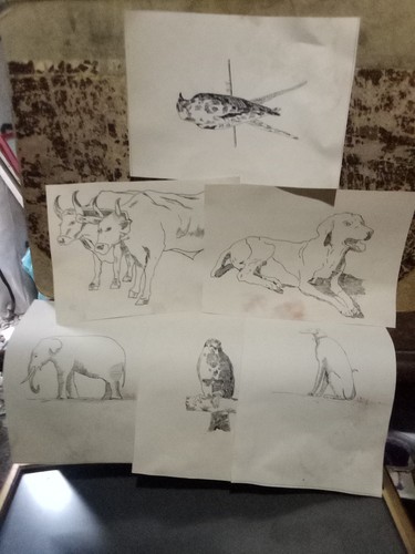 Disegni antichi animali - disegni,