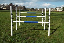 Attrezzatura agilità cane 3