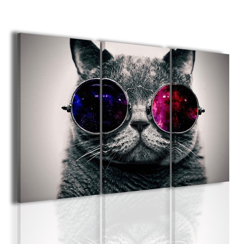 Quadri moderni cute cat - cute,