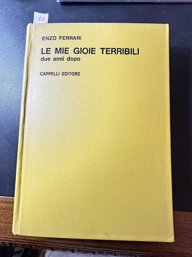 Mie gioie terribili - gioie, enzo