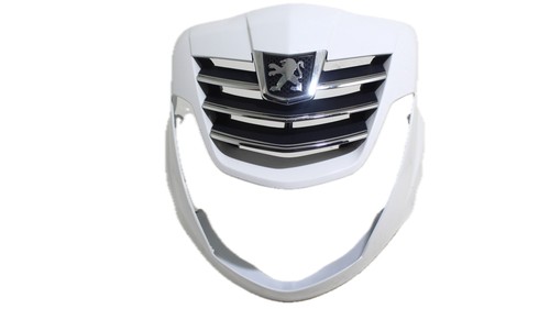 Scudo anteriore superiore - scudo,