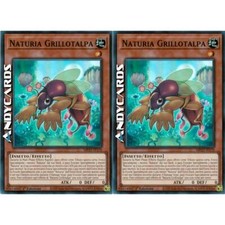 NATURIA GRILLOTALPA 2x • (Naturia Mole Cricket) • Super R • MP23 IT170 • 1Ed