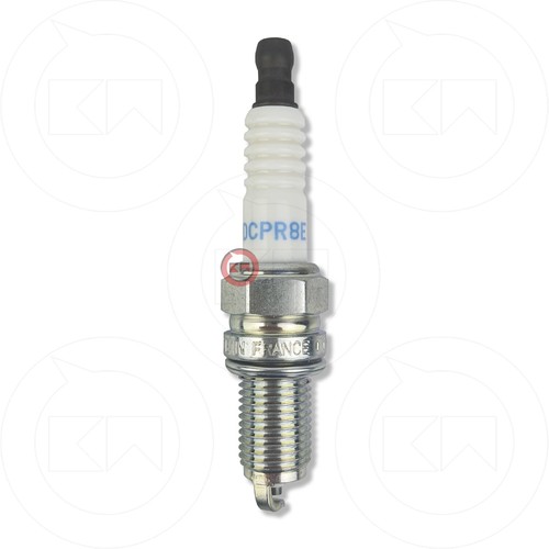 Candela ngk dcpr8e nottolino - ngk,