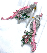 Coro Calopsitta Rosa Rosa