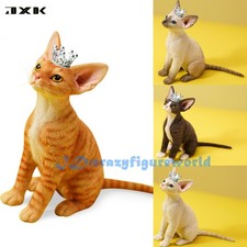 JXK 1/6 Devon Rex modello