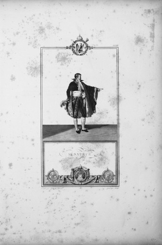 Senatore incisione originale - senatore,
