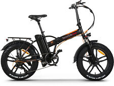 Bici Elettrica Fat bike