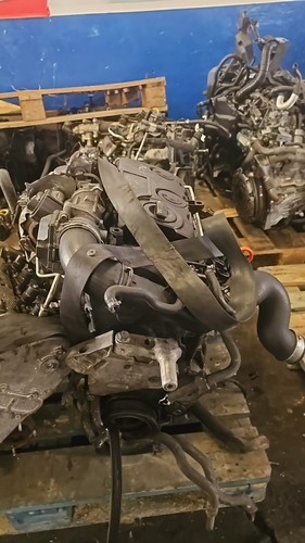 Motore bls volkswagen audi - bls,