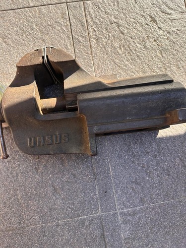 Morsa ursus grande originale - ursus,