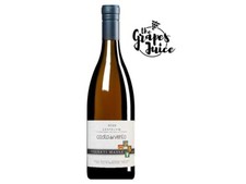 VIGNETI MASSA COSTA DEL VENTO