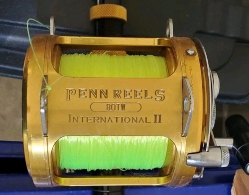 Mulinello pesca penn - pesca,