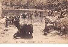 12.N 203027. a Individuare