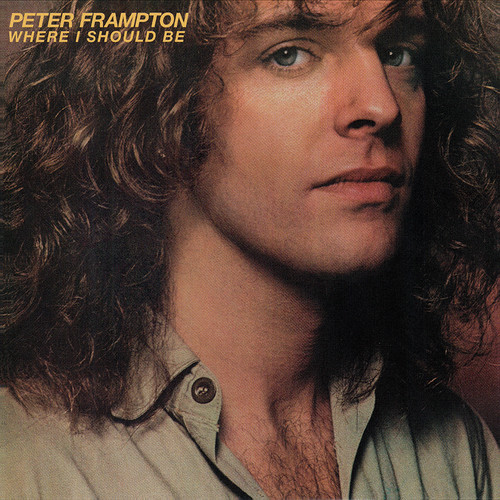 Peter frampton where should - frampton~,