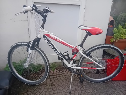 Bottecchia mtb - bottecchia,