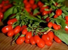 40 BACCHE DI GOJI DA SEMINA