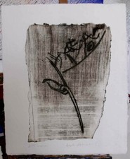 AGAPITO MINIUCCHI Splendida