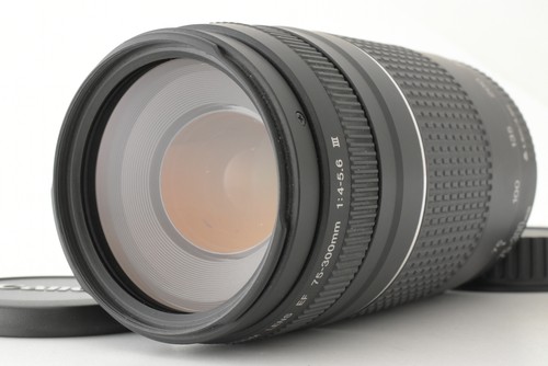 Canon 300mm 5 6 - f/4-5.6, iii
