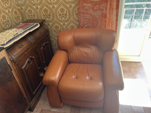 Poltrone vintage pelle - poltrone,