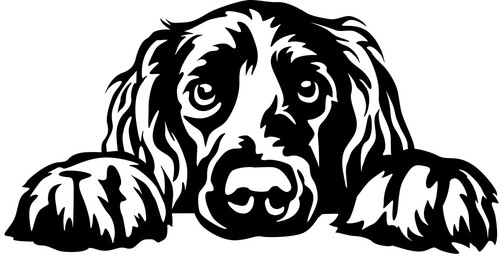 Adesivo irish setter - setter,