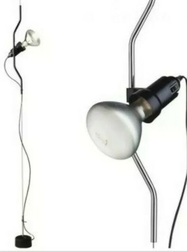 Flos parentesi achille - ,