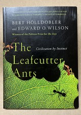 The Leafcutter Ants 