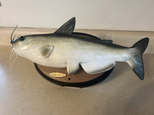 Gemmy cool cat fish - fish, animato