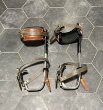 Bashlin Lineman Punte da