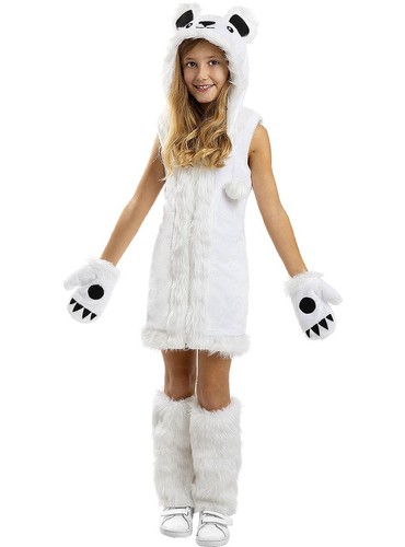 Orso polare - polare,