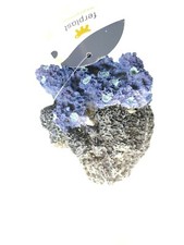 Roccia C/Coralli M decorazione