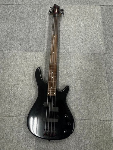 Basso elettrico fotogenico