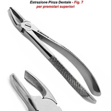 Pinza per Estrazione Chirurgica Fig.7 Strumenti Dentali Pinze Premolari Dentista
