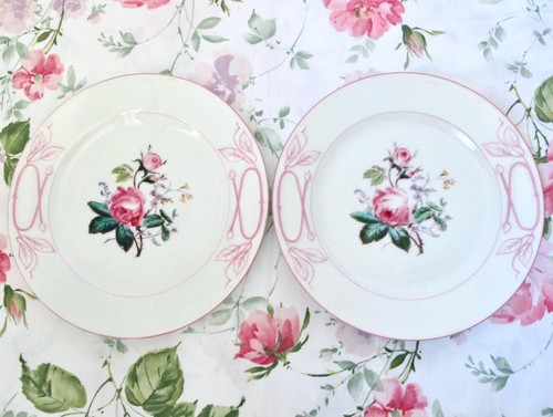 Set piatti vintage haviland - set/2,