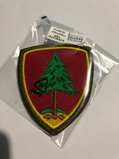 PATCH BRIGATA PINEROLO COLOR