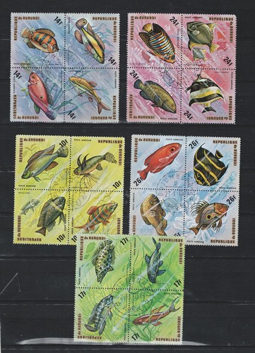 Burundi fauna pesce tropicale - fauna,
