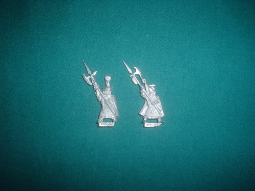 High elf phoenix guard - elf,