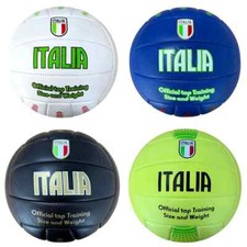 Pallone da Pallavolo. Palla