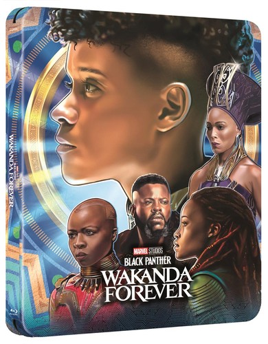 Black panther wakanda - panther,