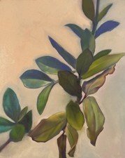 Pianta di Zz dipinto ad olio