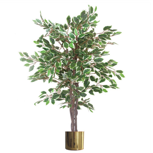 Albero ficus artificiale - ficus,